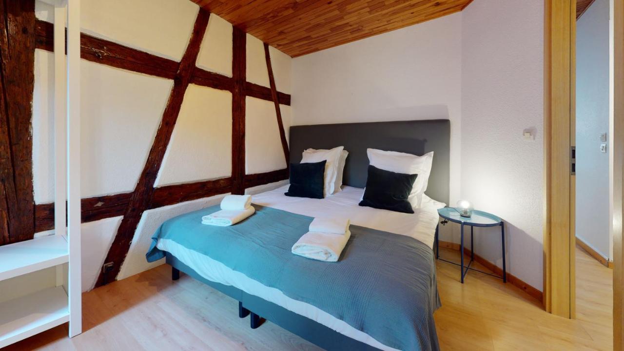 Le Petit Thierenbach Apartment Colmar Luaran gambar