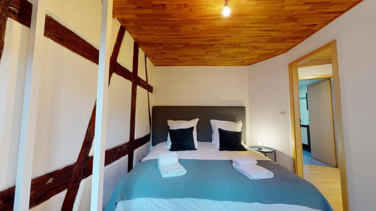 Le Petit Thierenbach Apartment Colmar Luaran gambar