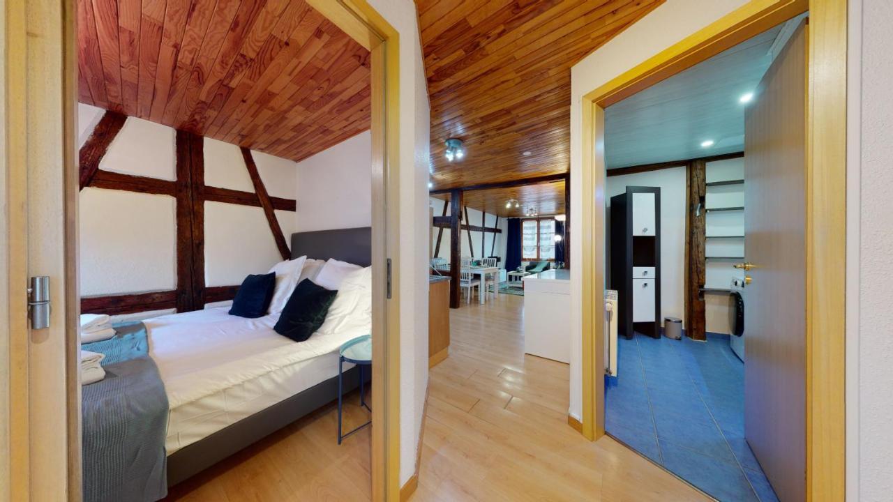 Le Petit Thierenbach Apartment Colmar Luaran gambar